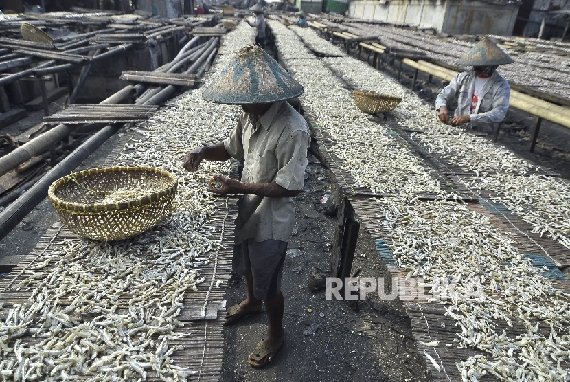  Nelayan memilah-milah ikan asin (ilustrasi) 