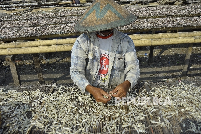  Nelayan memilah-milah ikan asin saat dijemur di Kalibaru, Cilincing, Jakarta Utara, Selasa (1/8).