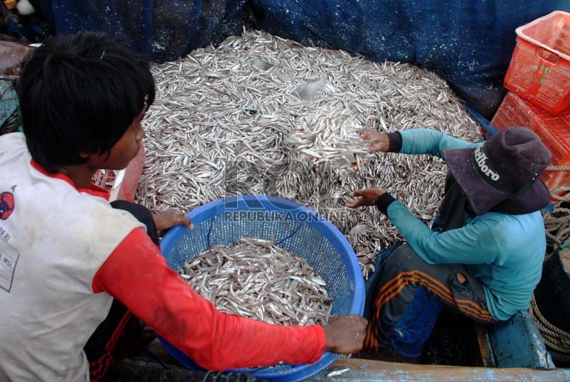  Nelayan memindahkan hasil tangkapan ikan teri di Kalimenir, Indramayu, Senin (5/8).  (Republika/ Yasin Habibi)