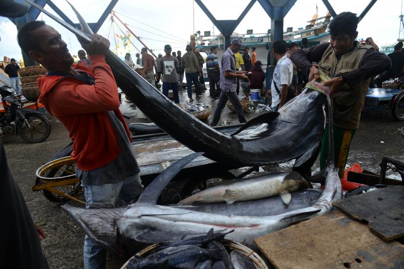 Produksi ikan (ilustrasi). Pemkot Palembang menggencarkan kampanye gemar makan ikan.