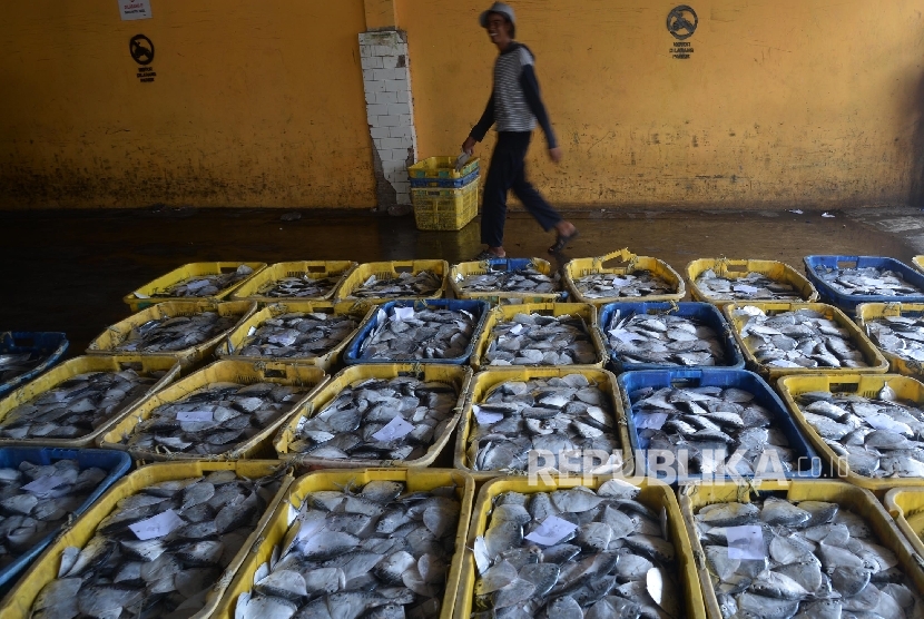 Nelayan menata ikan dalam keranjang di Pelabuhan Perikanan Muara Angke, Jakarta Utara, Sabtu (21/10).