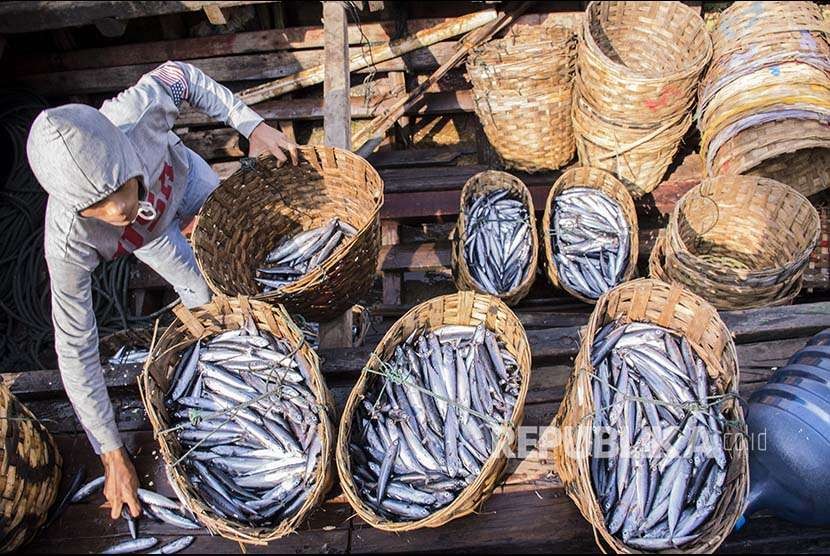 Nelayan menata ikan jenis tongkol lisong di Tempat Pelelangan Ikan (TPI) Pelabuhan Ratu, Kabupaten Sukabumi, Jawa Barat, Selasa (25/9). Menteri Kelautan dan Perikanan Susi Pujiastuti optimistis perikanan tangkap Indonesia tahun 2018 tumbuh 10 sampai 20 persen dengan potensi maksimal mencapai 8,16 juta ton.