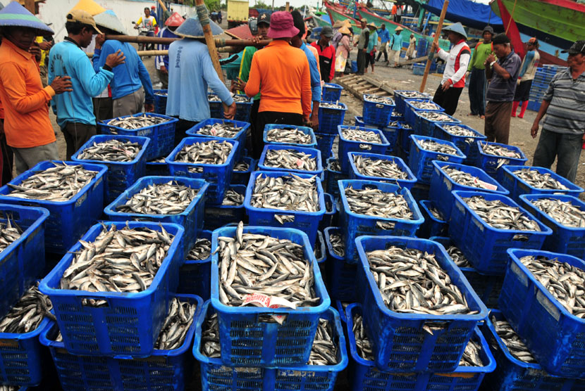 KKP akan Kembangkan Pelelangan Ikan Muara Baru | Republika Online