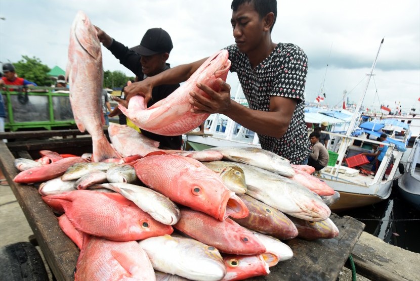 Nelayan mengangkat ikan hasil tangkapannya (ilustrasi)