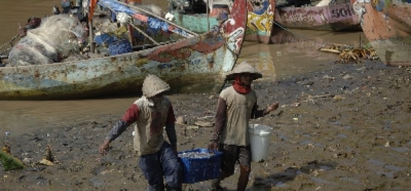 Nelayan mengangkat keranjang berisi ikan hasil tangkapan mereka. (ilustrasi). 
