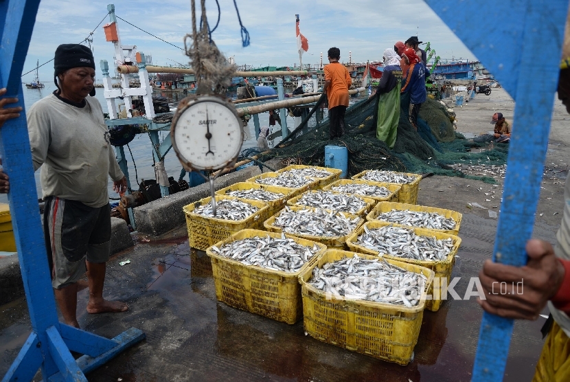 Nelayan mengangkut ikan hasil tangkapannya (ilustrasi)