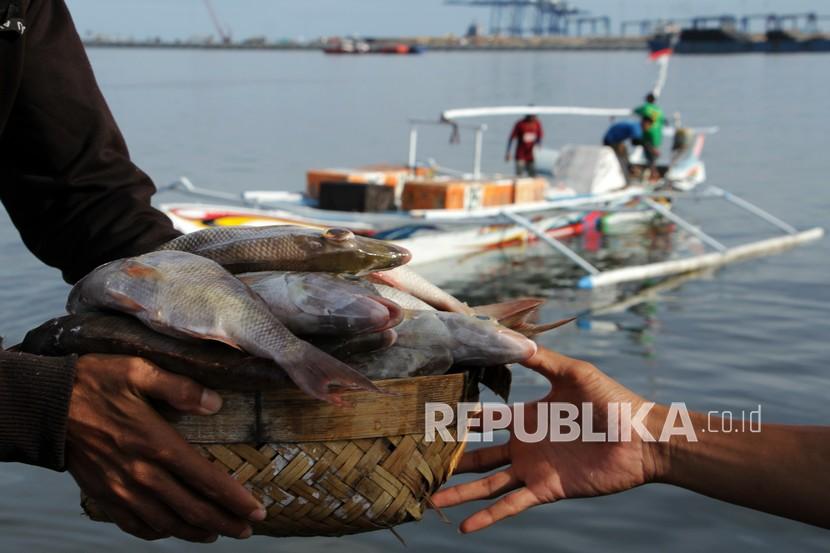 Nelayan mengangkut ikan hasil tangkapannya di Tempat Pelelangan Ikan (ilustrasi)