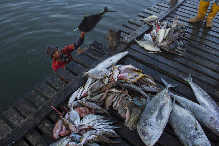 Nelayan mengumpulkan ikan hasil tangkapannya di Pangkalan Pendaratan Ikan (PPI) Beba, Kabupaten Takalar, Sulawesi Selatan. Standard Chartered mendorong potensi pertumbuhan ekonomi baru. Sebagai negara kepulauan yang memiliki hutan dan area lautan yang besar, Indonesia memiliki potensi menjaga dunia dari perubahan iklim global.