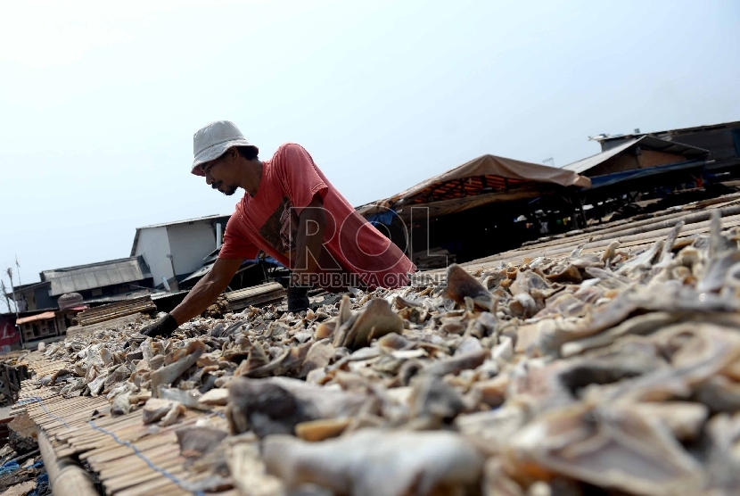 Nelayan menjemur ikan asin di kawasan Muara Angke, Jakarta Utara, Selasa (2/12).    (Republika/Wihdan)