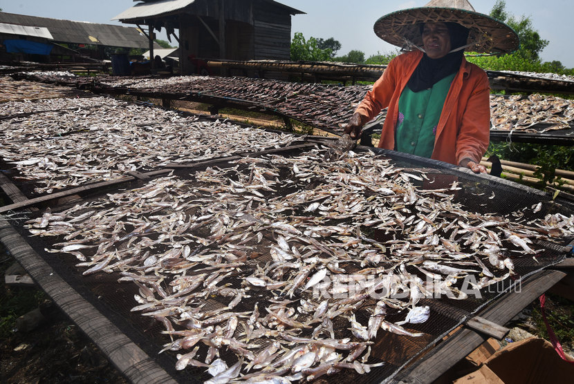 Nelayan menjemur ikan asin di Pelabuhan Perikanan Nusantara (PPN) Karangantu, Serang, Banten, Ahad (15/3). Kementerian Kelautan dan Perikanan (KKP) akan mengoptimalkan peran penyuluh perikanan (pendamping) dalam mempercepat penyaluran Kredit Usaha Rakyat (KUR).