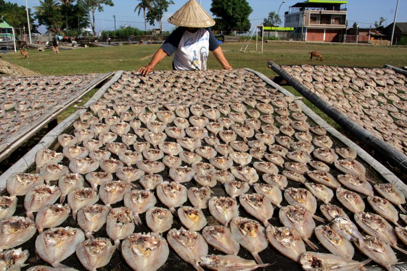 Ikan kering (ilustrasi). Kementerian Perdagangan melakukan pelepasan ekspor perdana ikan kering ke Taiwan sebanyak dua ton dengan nilai Rp 440 juta.