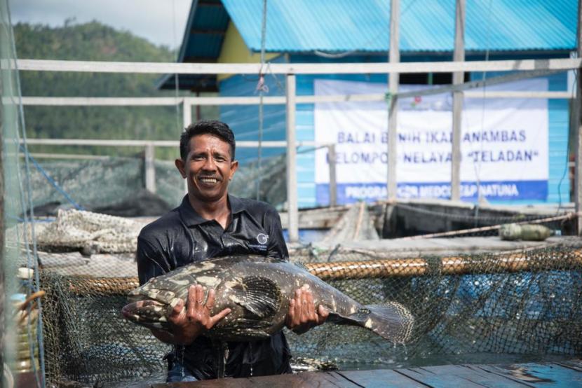 Nelayan menunjukkan ikan hasil budi daya di Balai Benih Ikan, di Anambas, Kepulauan Riau. Balai Benih Ikan tersebut merupakan program Medco E&P untuk membantu nelayan dalam melakukan budi daya ikan kerapu. 
