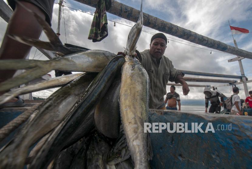 Nelayan menurunkan ikan hasil tangkapannya di Pelabuhan Pendaratan Ikan, Kabupaten Donggala, Sulawesi Tengah, Kamis (13/6/2019). Menurut nelayan setempat, hasil tangkapan ikan dalam seminggu terakhir cukup melimpah. 