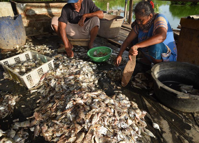 Nelayan menyortir ikan di Pelabuhan Perikanan Nusantara (PPN) Karangantu, Serang, Banten, Selasa (7/4/2020). Para nelayan setempat mengaku kesulitan untuk menjual ikan hasil tangkapan mereka terkait kebijakan pembatasan sosial sehingga ikan tidak bisa dijual ke luar daerah dan hanya sedikit sekali yang bisa diserap pasar di lingkungan lokal mereka.