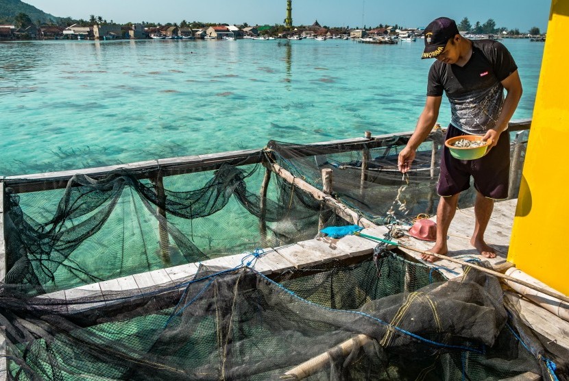 Nelayan pembudidaya karamba ikan memberi pakan ikan kerapu di tepi Pantai Lego, Karimunjawa, Jepara, Jawa Tengah, Jumat (27/7). 