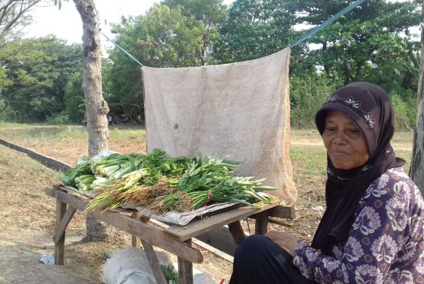 Nenek Diah, menjual sayuran hasil tanamannya sendiri, kawasan BKT, Jakarta Timur, Jumat (10/8).