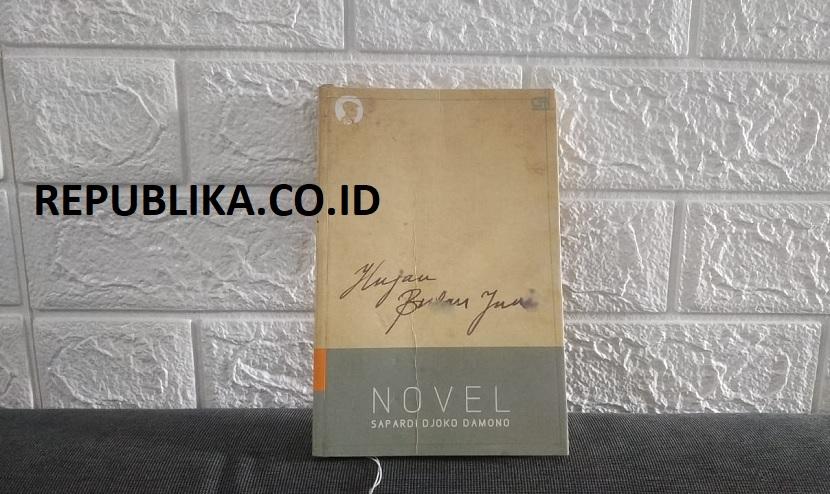 Novel Hujan Bulan Juni karya Sapardi Djoko Damono.