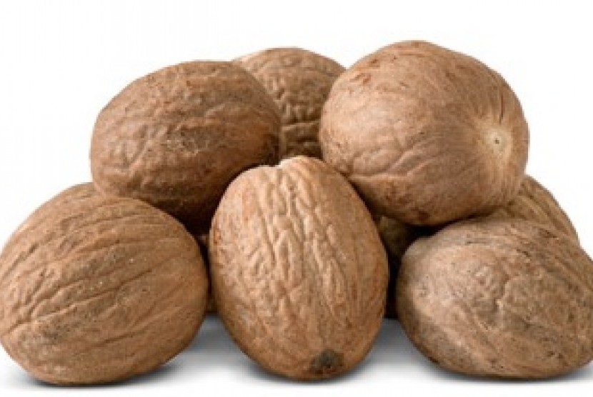 Nutmeg, one of Indonesian commodities (illustration)