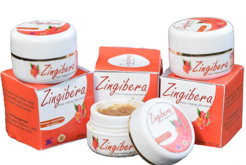 Obat bernama Zingibera ini diharap mampu jadi alternatif menyembuhkan luka penderita diabetes.