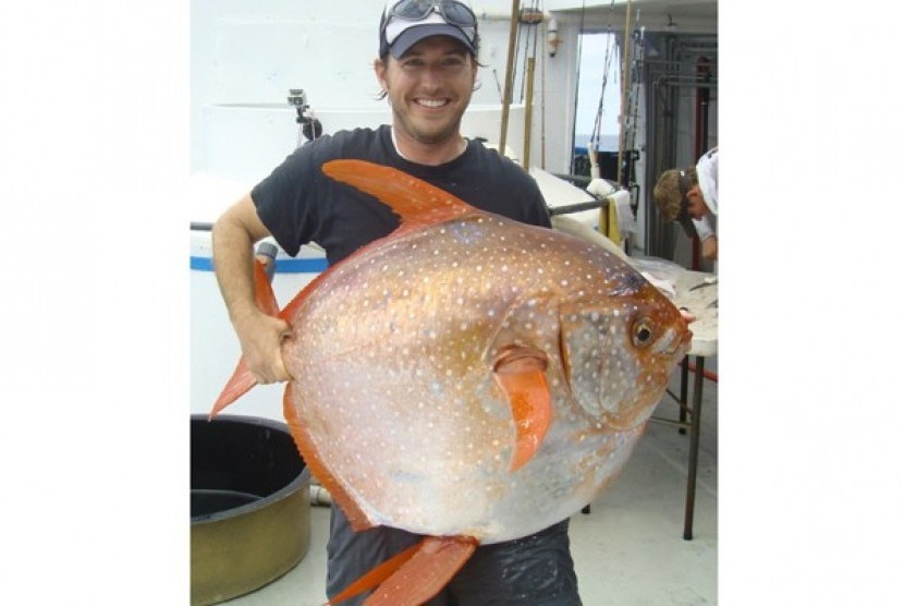Opah atau Moonfish