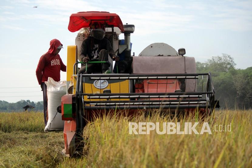 Panen padi (ilustrasi). Pupuk subsidi dinilai membantu meningkatkan produktivitas petani di Sumatra Selatan.