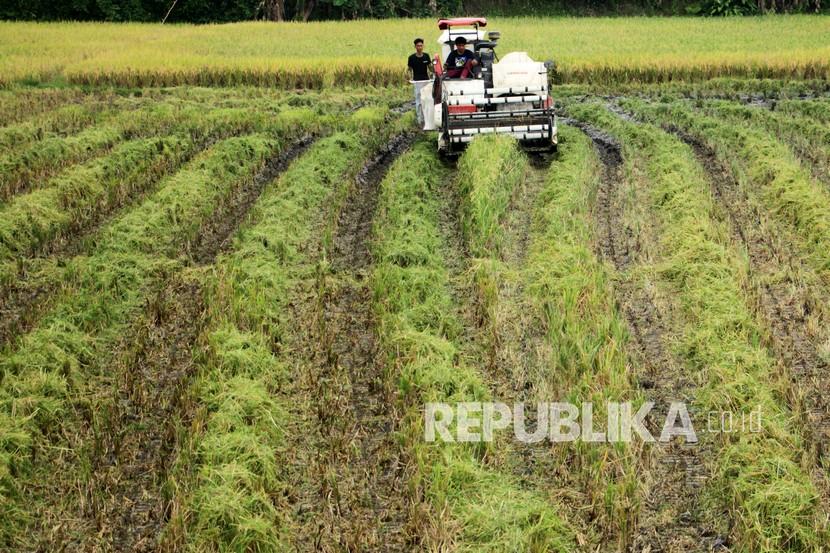 Program Makmur yang diluncurkan oleh Menteri BUMN Erick Thohir berhasil membuat petani Sulawesi Selatan (Sulsel) mandiri dan mampu meningkatkan produktivitas pertaniannya. (ilustrasi)