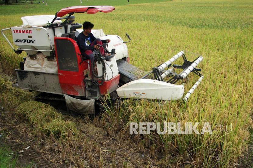 Operator mengoperasikan mesin pemotong saat memanen padi (ilustrasi). Provinsi Sulawesi Barat (Sulbar) mempersiapkan diri menjadi penyuplai kebutuhan pangan ibukota negara baru (IKN) baru di Kalimantan Timur (Kaltim).