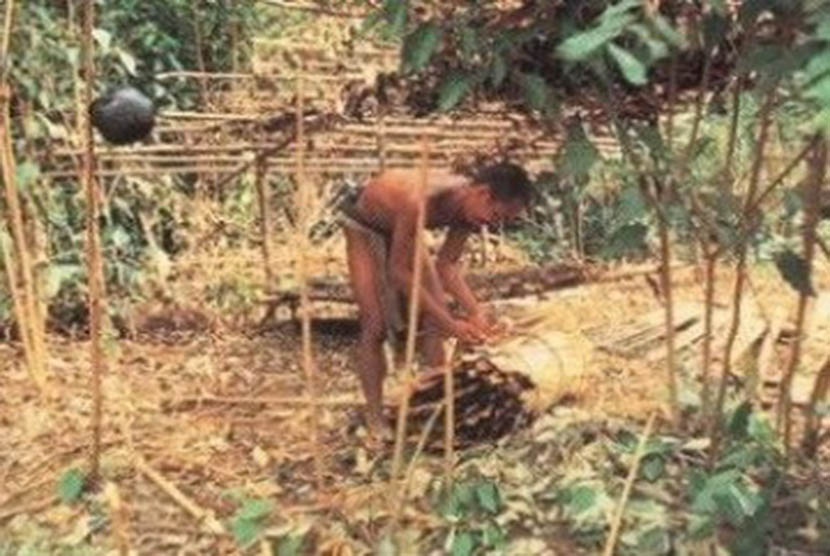 Orang Rimba tribe in Jambi