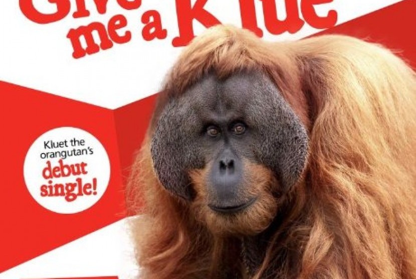 Orang utan Sumatra Kluet membuat musik yang diberi nama Give me a Klue yang direkam oleh pengasuhnya dan akan dijual di situs Zoos SA.