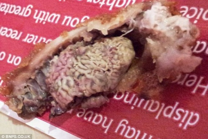 Otak Ayam yang terselip di potongan daging ayam KFC