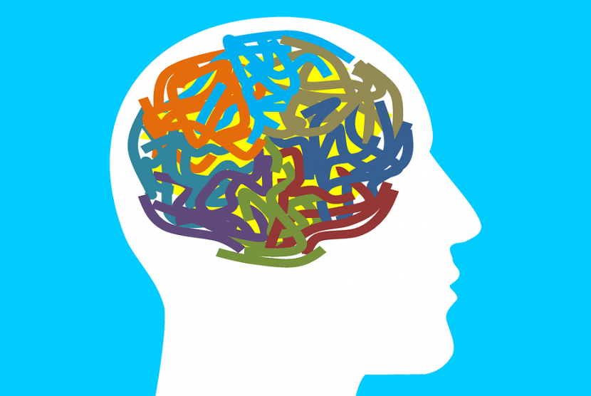 Otak manusia (Ilustrasi)