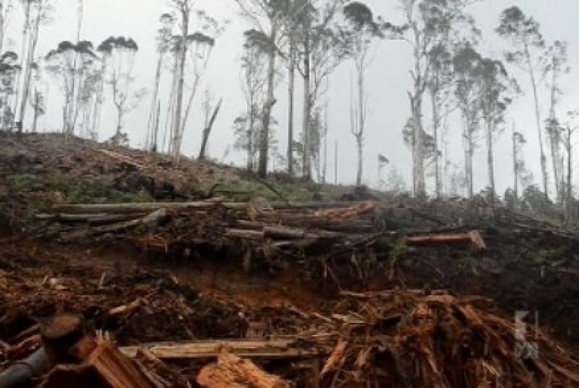 Otoritas Perlindungan Lingkungan Hidup (EPA) menjatuhkan denda kepada perusahaan Forestry Corporation karena terjadinya longsor akibat pembukaan lahan hutan. 