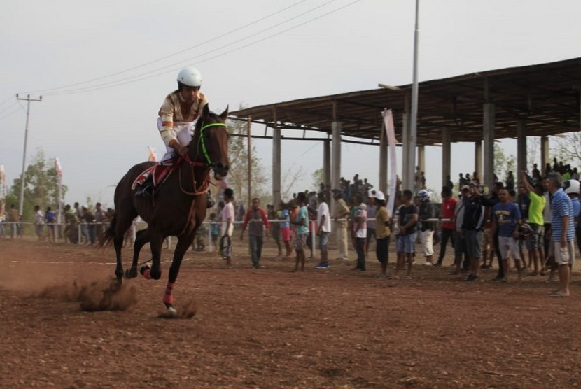 Dokumentasi pacuan kuda di Nusa Tenggara Timur (NTT). Perlombaan pacuan kuda Piala Gubernur NTT akan digelar pada 19-22 November 2020. 