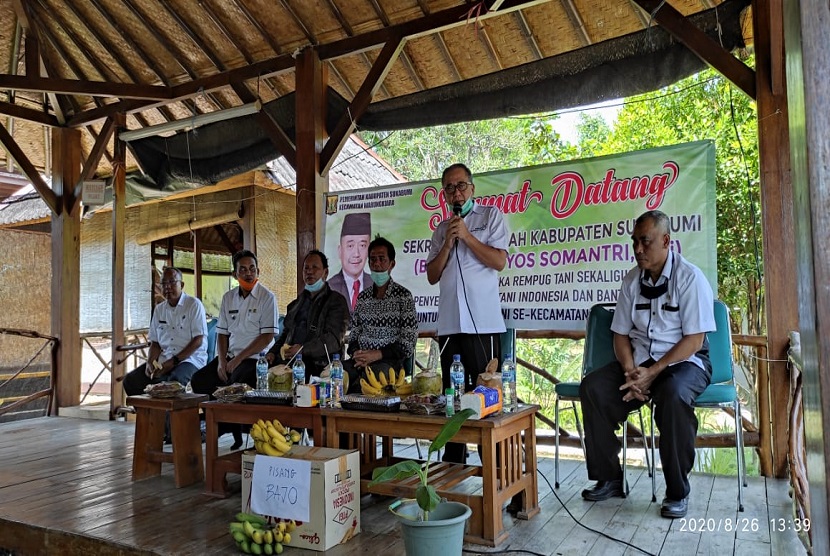 Pada 2020 Kabupaten Sukabumi mendapat alokasi kegiatan APBN pengembangan kawasan pisang seluas 30 hektare, 28 hektare pisang Raja Bulu dan 2 hektare Barangan Jumbo (Bajo). Pada acara Rembug Tani, Rabu (26/8), dilakukan penandatangan kerja sama antara Kelompok Tani penerima bantuan dengan PT. Caraka Prima Sakti.  Acara juga diisi dengan serah terima benih pisang yang diikuti acara penyerahan kartu tani kepada para petani oleh Sekretaris Daerah Kabupaten Sukabumi yang dihadiri juga oleh Kepala Dinas Pertanian Kabupaten Sukabumi serta jajarannya, perwakilan Direktorat Jenderal Hortikultura, Camat Warung Kiara, para Kepala Desa dan Kelompok Tani sekecamatan Warung Kiara. 