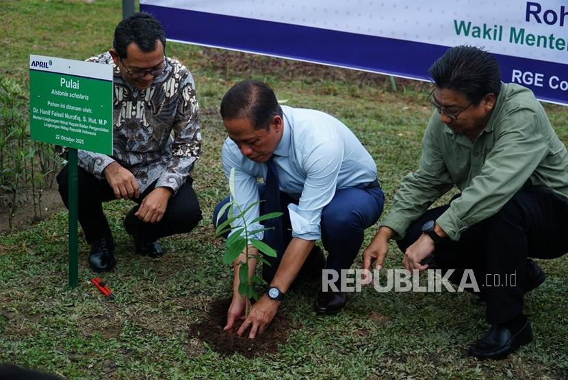 Indonesia Umumkan Telah Restorasi 4,16 Juta Ha Lahan Gambut di Ajang AsiaFlux Conference
