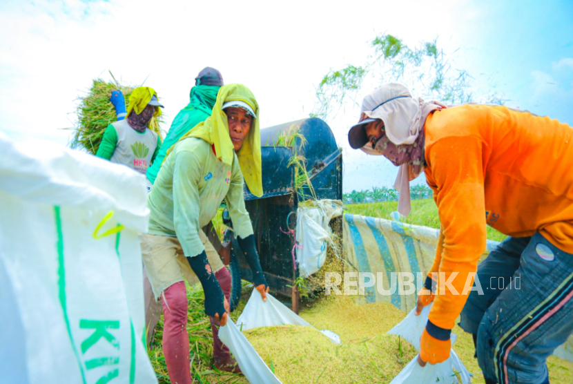 Komisi IV DPR RI Apresiasi Capaian Produksi Beras di Era Mentan Amran