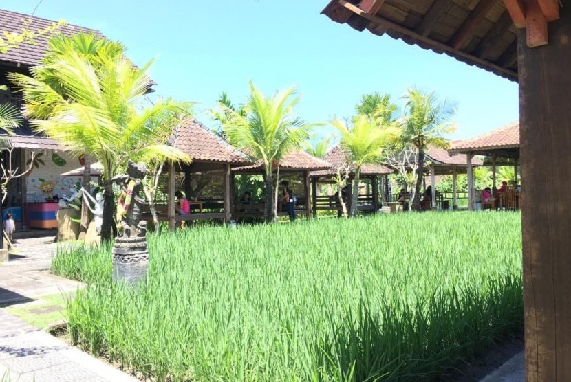 Padi menghampar menjadi penyejuk mata saat bersantap di Warung Mogan, Denpasar, Bali.