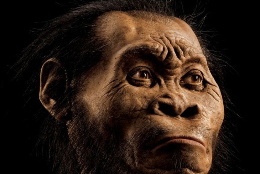 Rekonstruksi kepala Homo Naledi yang ditemukan di gua pedalaman di Afrika Selatan.