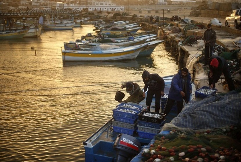 Palestinian fishermen sort boxes containing fish at Gaza Seaport in Gaza City December 13, 2012. Israel completed the main segment of a razor-wire fence along its border with Egypt on Wednesday. The fence stretches from Israel's Red Sea port of Eilat to th