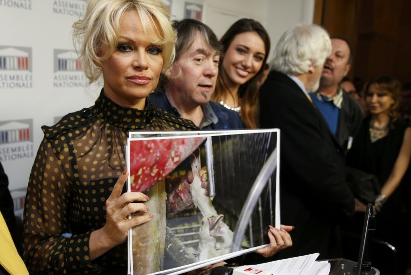 Pamela Anderson saat berada di Parlemen Prancis menentang pemberian makan paksa bebek dan angsa di industri foie gras, (19/1).