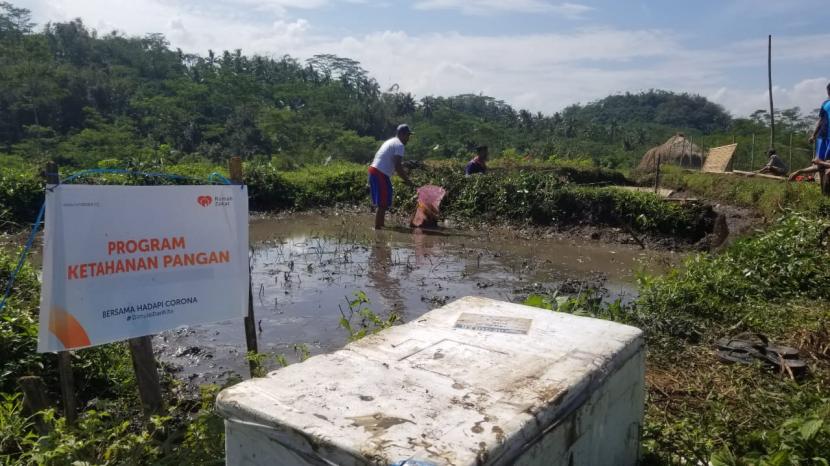 Pandemi Covid-19 memberikan pelajaran berharga tentang pemanfaatan lahan untuk mendapatkan pangan. Sebagaimana dilakukan oleh masyarakat Dusun Kedungwiyu, Desa Kedungumpul yang melakukan optimalisasi lahan melalui budidaya ikan.