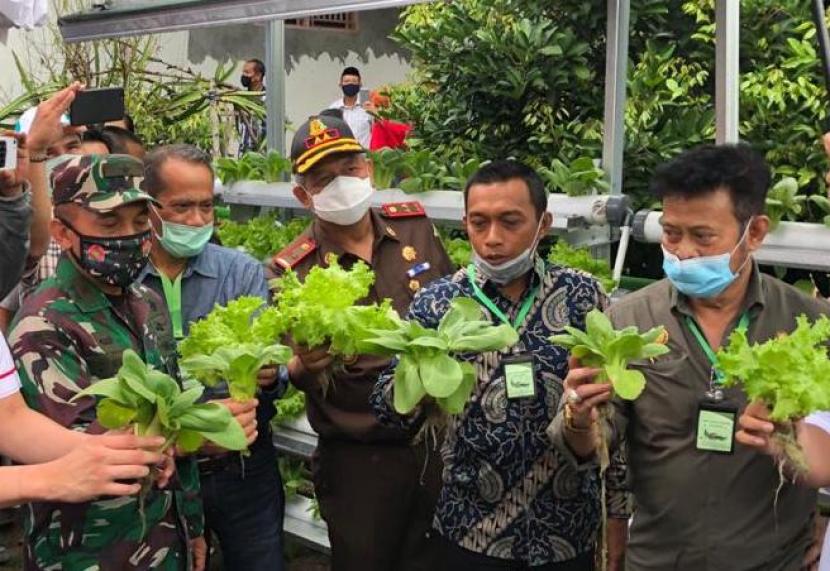 Pandemi Covid-19 membuat banyak orang kehilangan pekerjaan dan kekhawatiran sumber pangan. Kementerian Pertanian terus melakukan berbagai upaya untuk menjaga ketahanan pangan sebagai komitmen dan tanggung jawab menyediakan bahan pangan bagi 267 juta penduduk Indonesia. Salah satu upaya itu adalah dengan memanfaatkan pekarangan. 