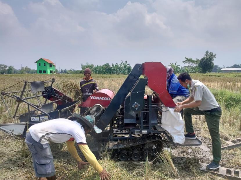 Pandemi Covid-19 yang saat ini melanda Indonesia, tidak menyurutkan semangat petani di Kabupaten Blitar, Jawa Timur, membantu penyediaan pangan.