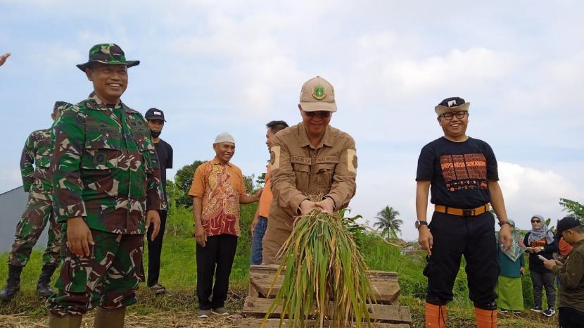 Panen padi di Lahan Pertanian Pangan Berkelanjutan di Kecamatan Cibeureum, Kota Sukabumi, Ahad (23/5/2022).i