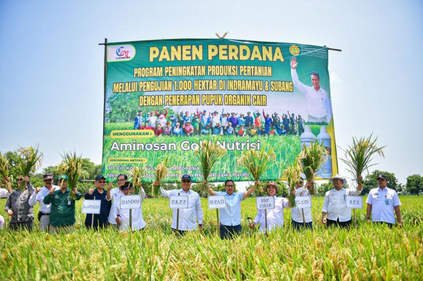 Panen padi organik dilahan seluas seribu hektare di Indramayu