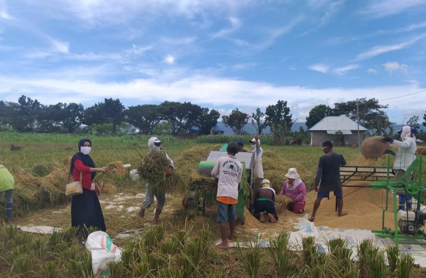  Panen padi sudah mulai terlihat di beberapa wilayah di Indonesia. Menurut data Kerangka Sampling Area (KSA) BPS prediksi luas panen April dan Mei lebih luas dibandingkan bulan Maret.