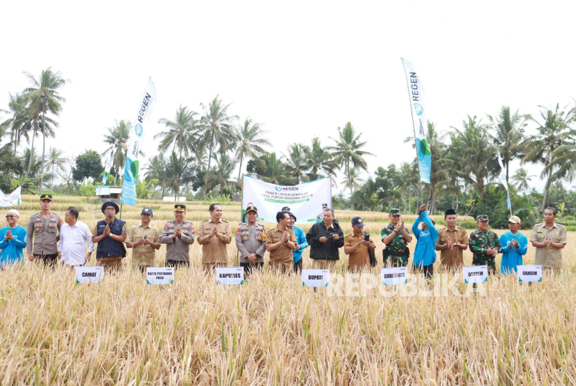 Panen perdana padi organik di Desa Masbagik Timur, Kecamatan Masbagik, Lombok Timur. 