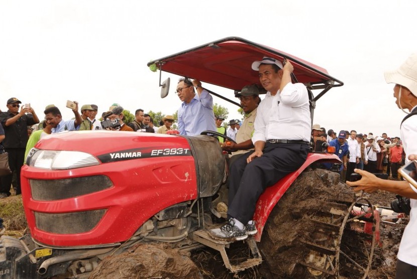 Panen Raya di Kabupaten Banyuasin, Sumatra Selatan, Senin (29/1).