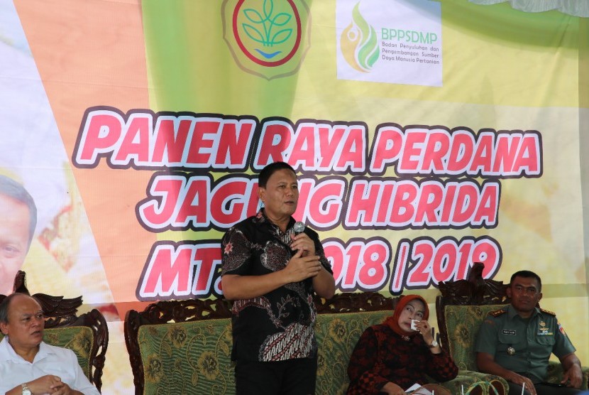 Panen raya jagung di Kabupaten Gunungkidul, Yogyakarta.