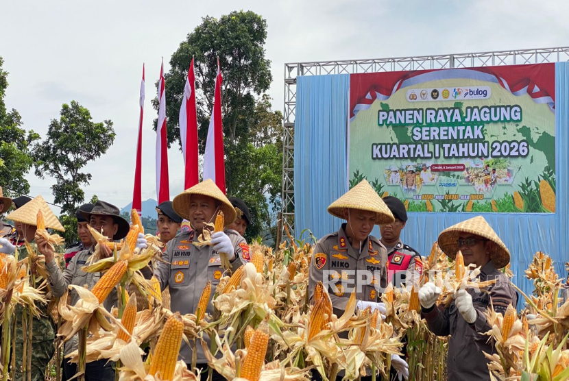 Senyum Petani di Bandung Barat Usai Panen Raya Jagung Bareng Polisi